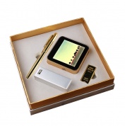 Подарочный набор (зарядное устройство, флешка, ручка) PNB01