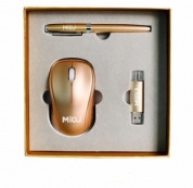Подарочный набор (мышка, флешка, ручка) PNS01