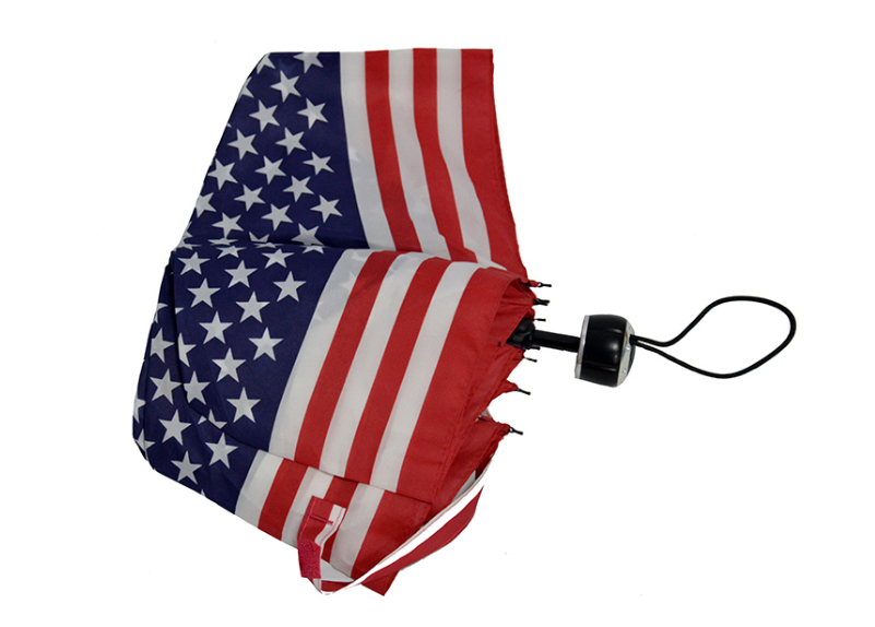 Зонт Складной с логотипом Z301(индивидуальный дизайн)