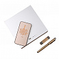 Подарочный набор (зарядное устройство, флешка, ручка) PN02